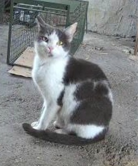 kaspar