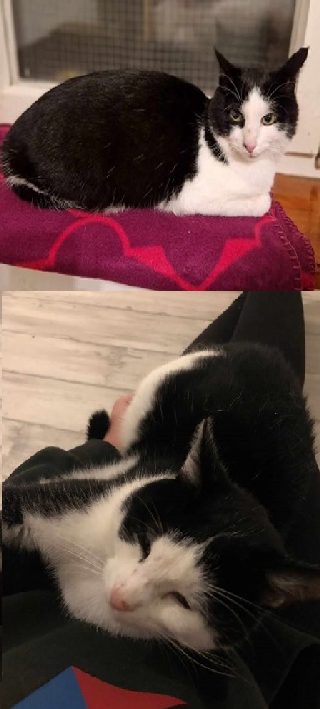 Spot-und-Socke