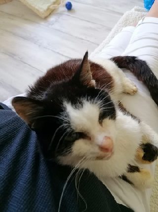 Lumpi